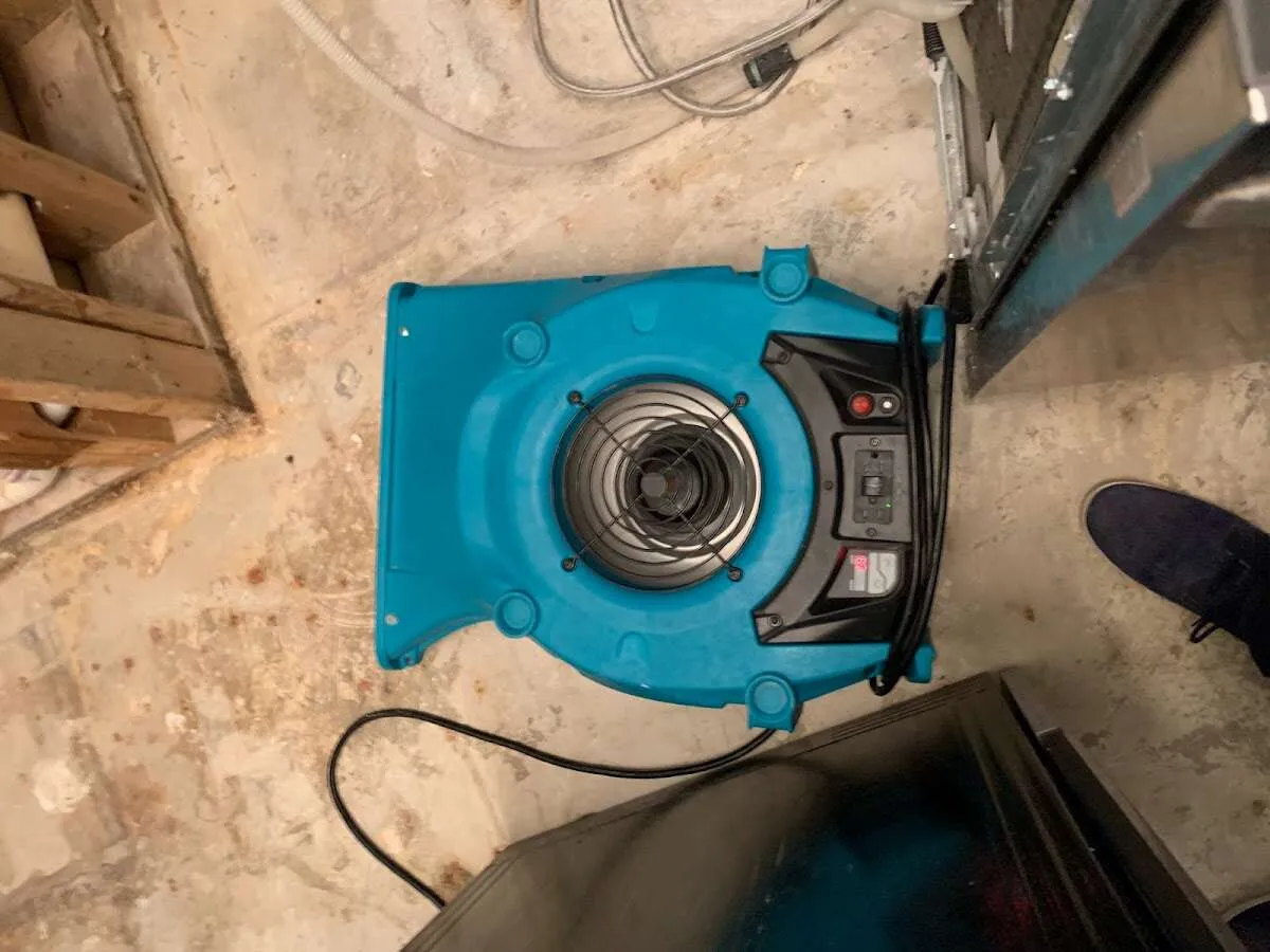 Air mover drying equipment for Mold Remediation & Removal in Tamarac
