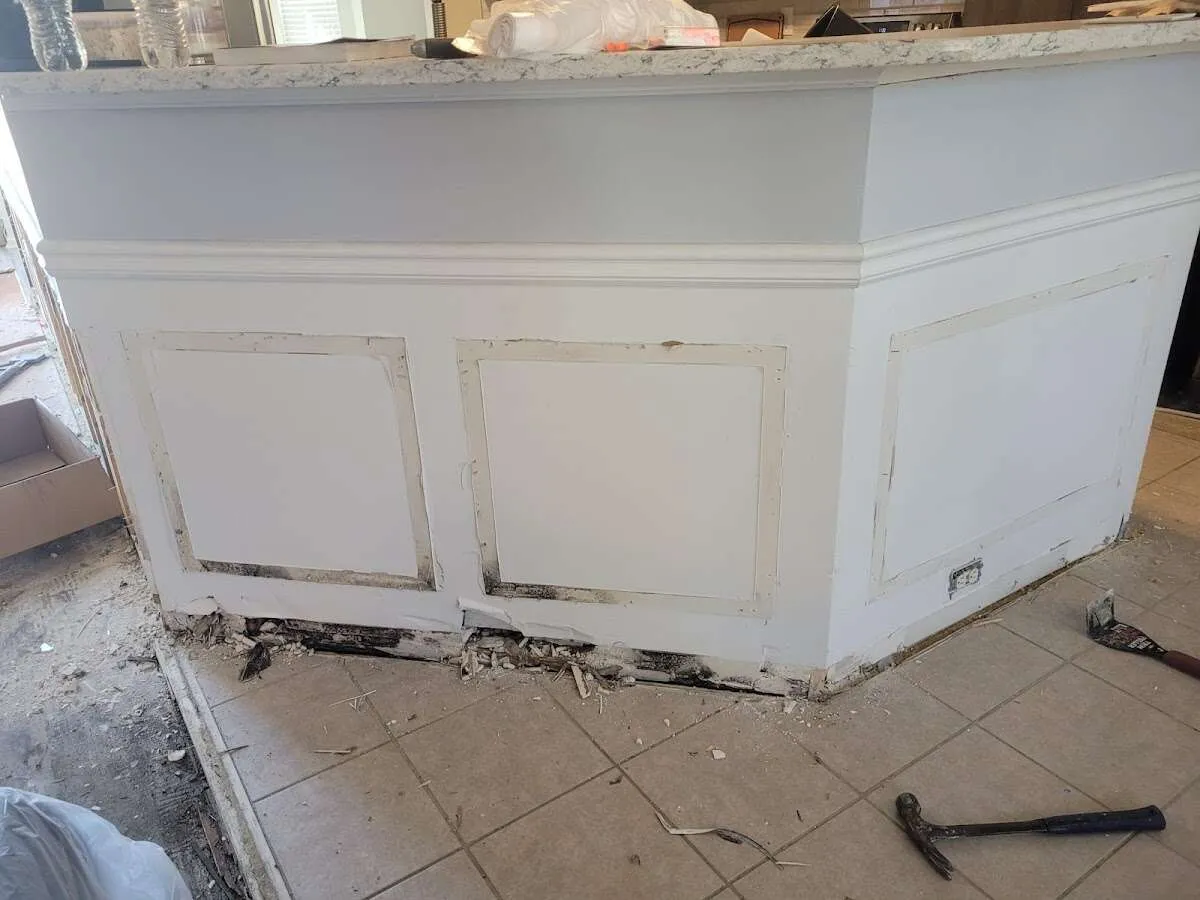 Water damage and mold on kitchen during Mold Inspection & Testing in Tamarac
